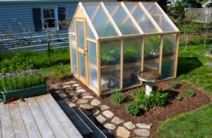 Como Construir un invernadero fácil y rentable en su patio trasero